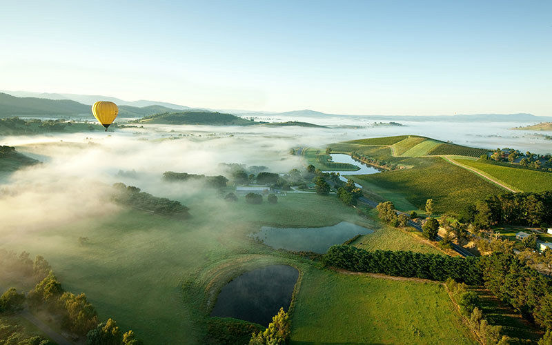 Hot Air Balloon Over Yarra Valley Wine Country