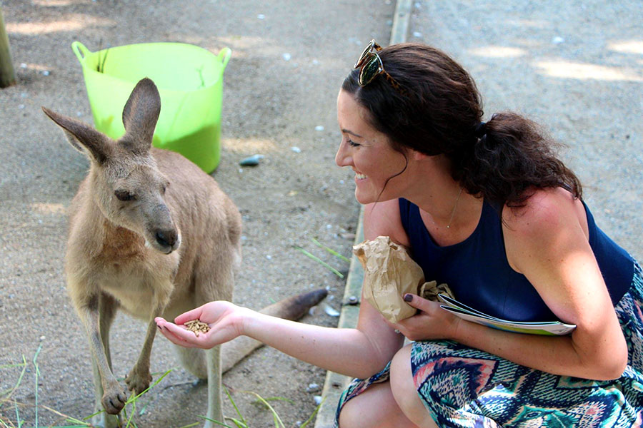 Feed kangaroos and other Aussie animals at Wildlife Habitat Port Douglas
