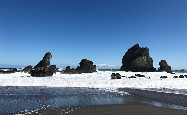 Black Sand Beach in New Zealand