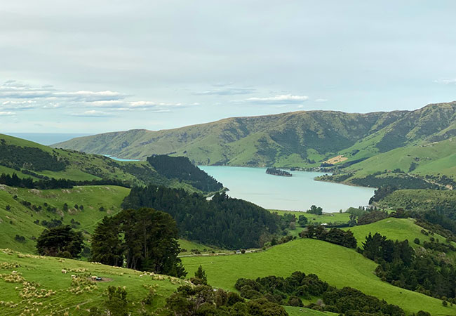 Stunning Views of Banks Peninsula - Pure Pods New Zealand