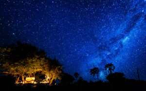 A Starry Night Sky in Botswana - Okavango Delta Safari